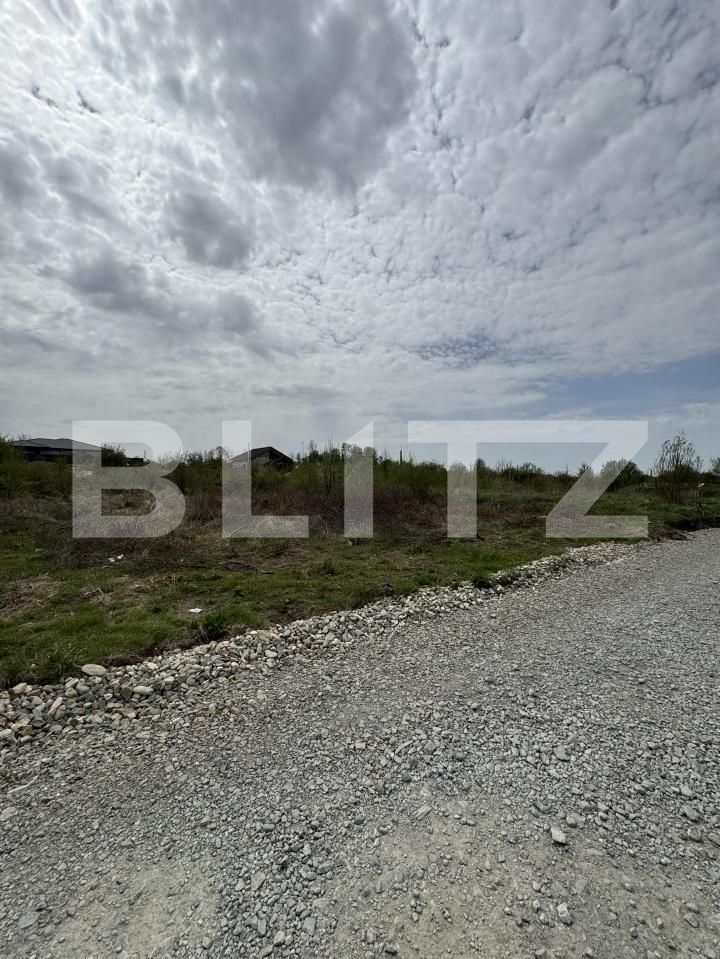 Teren de vânzare Narciselor - 146676TV | BLITZ Târgu Jiu | Poza1
