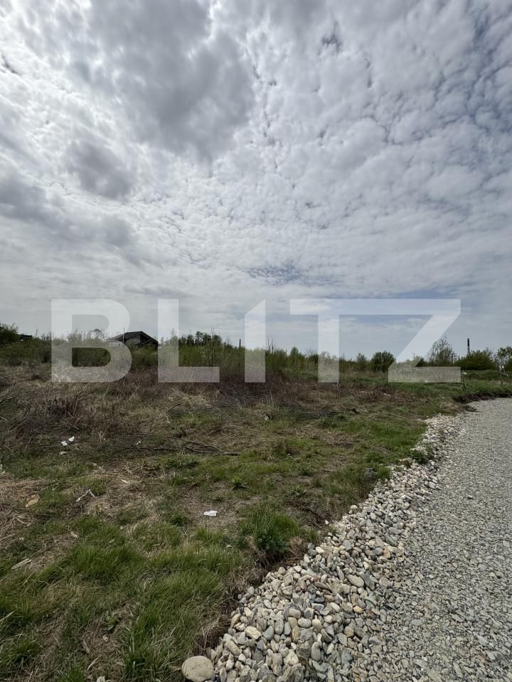 Teren de vânzare Narciselor - 146676TV | BLITZ Târgu Jiu | Poza2