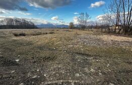 Teren 8000 mp, zona Pestisani