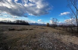 Teren 8000 mp, zona Pestisani