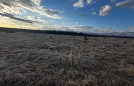 Teren 20000 mp, zona Pestisani