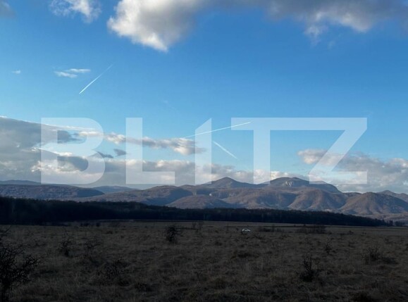 Teren de vânzare Exterior Vest - 146730TV | BLITZ Târgu Jiu | Poza3