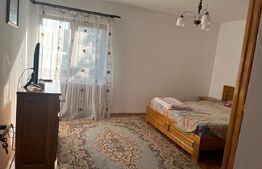 Apartament 3 camere, decomandat, 67mp, curte proprie 80mp