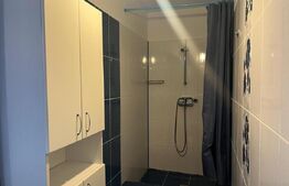 Apartament 3 camere, decomandat, 67mp, curte proprie 80mp