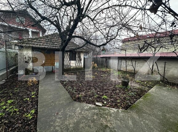 Casa de vânzare 3 camere Ultracentral - 146924CV | BLITZ Târgu Jiu | Poza3