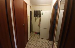 Apartament 2 camere, parter, zona Grivitei