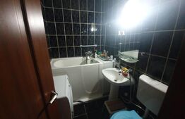 Apartament 2 camere, parter, zona Grivitei