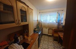 Apartament 2 camere, parter, zona Grivitei