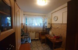 Apartament 2 camere, parter, zona Grivitei