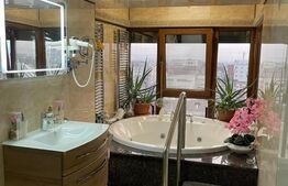 Penthouse, zona pietonala, vedere panoramica