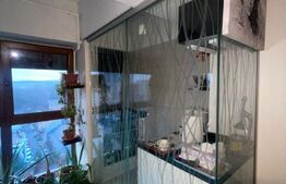 Penthouse, zona pietonala, vedere panoramica