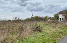 Teren extravilan, cartier Narciselor 2