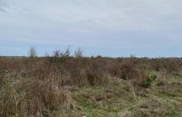 Teren intravilan, Centura Narciselor,Tg Jiu