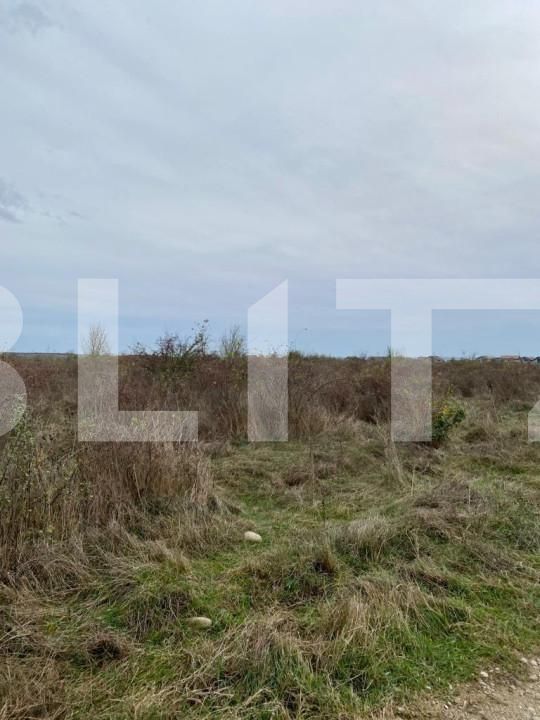 Teren de vânzare Centura Narciselor - 147120TV | BLITZ Târgu Jiu | Poza1