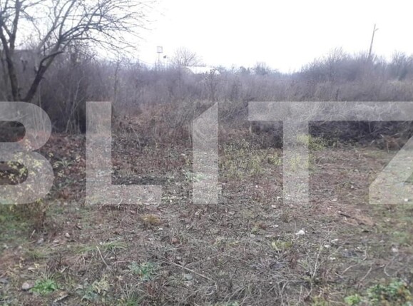 Teren de vânzare Exterior Sud - 147121TV | BLITZ Târgu Jiu | Poza1