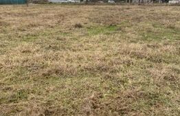 Teren extravilan, Prelungirea Panduri,Tg Jiu