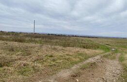 Teren extravilan, 14000mp, Tg Jiu