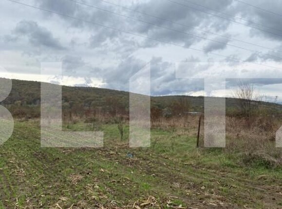 Teren de vânzare Centura - 147128TV | BLITZ Târgu Jiu | Poza1