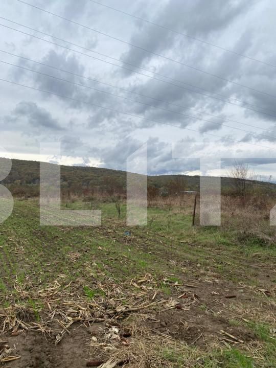 Teren de vânzare Centura - 147128TV | BLITZ Târgu Jiu | Poza1