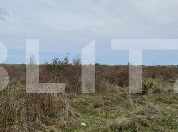 Teren de vânzare Centura Narciselor - 147136TV | BLITZ Târgu Jiu | Poza1