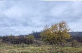 DE vanzare teren extravilan in Bârsești - Targu jiu, Gorj.