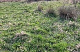 De vanzare teren extravilan in Telesti, Gorj 