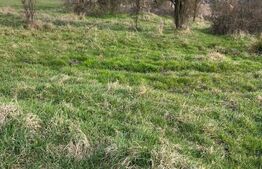 De vanzare teren extravilan in Telesti, Gorj 