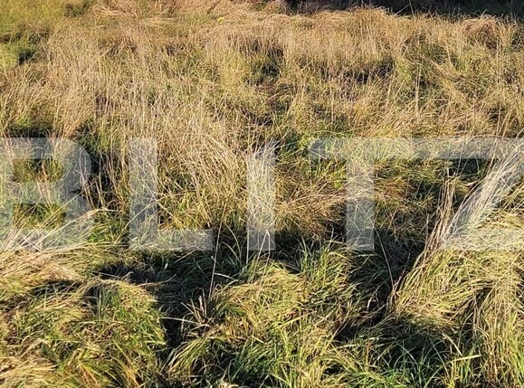 Teren de vânzare Exterior Nord - 147138TV | BLITZ Târgu Jiu | Poza3