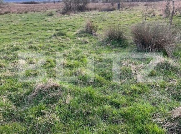 Teren de vânzare Exterior Nord - 147138TV | BLITZ Târgu Jiu | Poza2