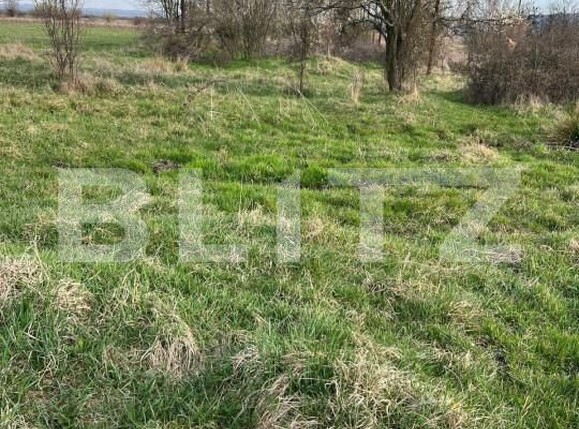 Teren de vânzare Exterior Nord - 147138TV | BLITZ Târgu Jiu | Poza1