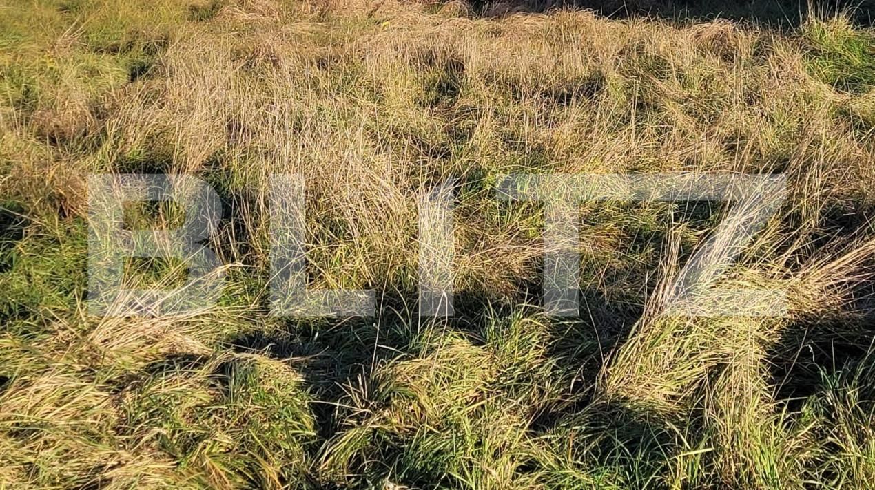 Teren de vânzare Exterior Nord - 147138TV | BLITZ Târgu Jiu | Poza3