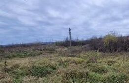 De vanzare teren intravilan in Tg-Jiu - Narciselor