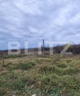 Teren de vânzare Artego - 147139TV | BLITZ Târgu Jiu | Poza1