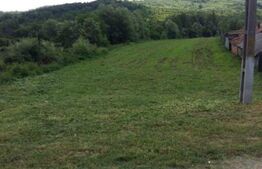 Teren, 6100MP, Comuna Balanesti