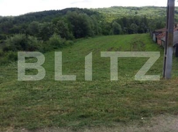 Teren de vânzare Exterior Est - 147143TV | BLITZ Târgu Jiu | Poza3