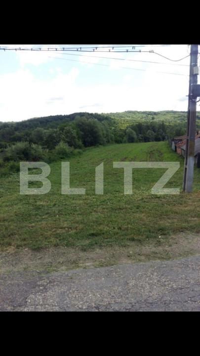 Teren de vânzare Exterior Est - 147143TV | BLITZ Târgu Jiu | Poza3