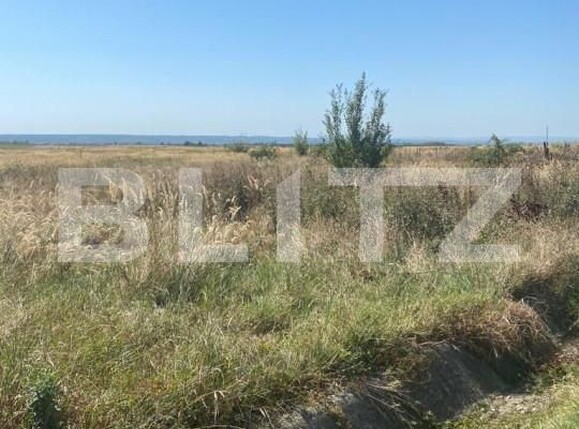 Teren de vânzare Preajba - 147145TV | BLITZ Târgu Jiu | Poza1