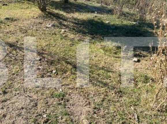 Teren de vânzare Centura Narciselor - 147148TV | BLITZ Târgu Jiu | Poza1