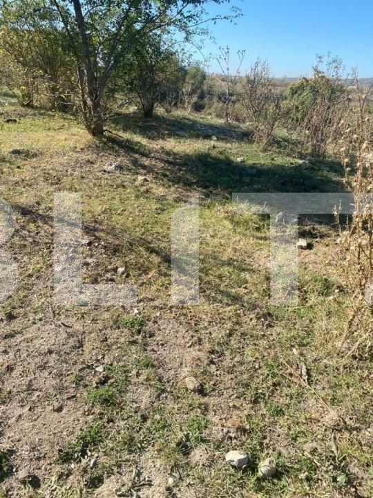 Teren de vânzare Centura Narciselor - 147148TV | BLITZ Târgu Jiu | Poza1