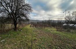 Casa 3 camere, zona Balanesti, teren 2792mp