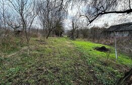 Casa 3 camere, zona Balanesti, teren 2792mp