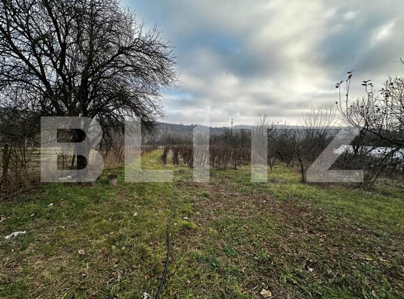 Casa de vânzare 3 camere Exterior Est - 147594CV | BLITZ Târgu Jiu | Poza4