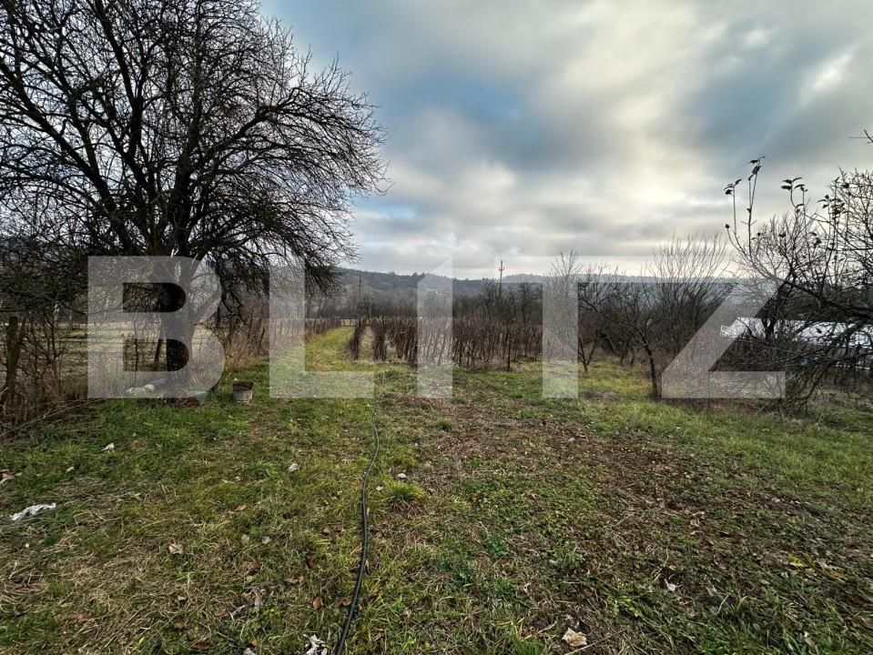 Casa de vânzare 3 camere Exterior Est - 147594CV | BLITZ Târgu Jiu | Poza4