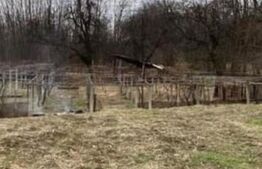 De vanzare casa in comuna Schela, judetul Gorj