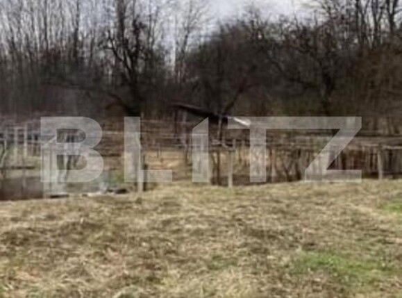 Casa de vânzare 6 camere Vest - 147711CV | BLITZ Târgu Jiu | Poza6