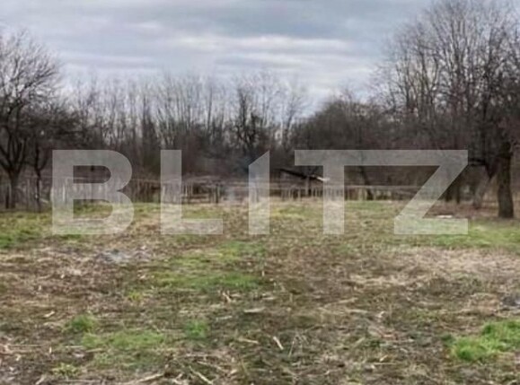 Casa de vânzare 6 camere Vest - 147711CV | BLITZ Târgu Jiu | Poza5