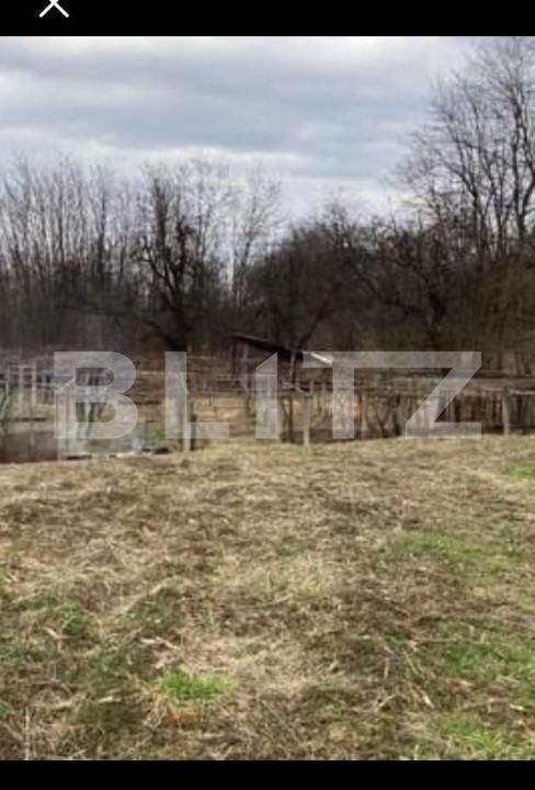 Casa de vânzare 6 camere Vest - 147711CV | BLITZ Târgu Jiu | Poza6