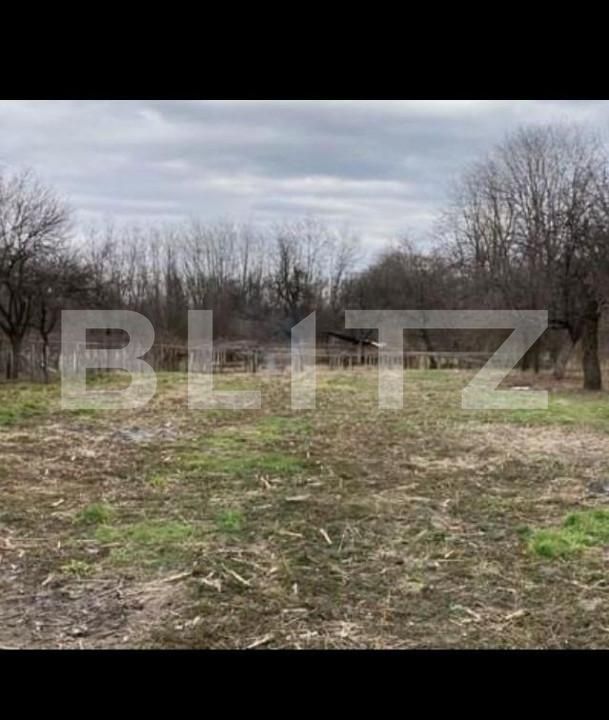 Casa de vânzare 6 camere Vest - 147711CV | BLITZ Târgu Jiu | Poza5