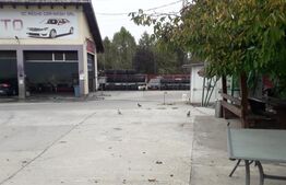 Spalatorie auto, vulcanizare, cartier Artego