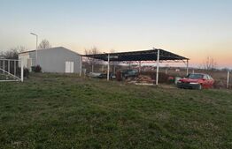 Hala 90 mp si 2000 mp teren in zona Petresti
